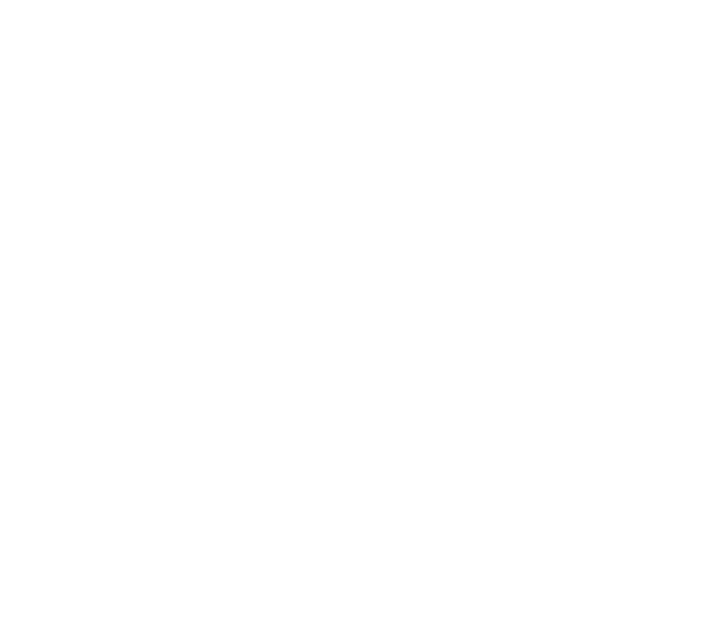 Louis Leroy